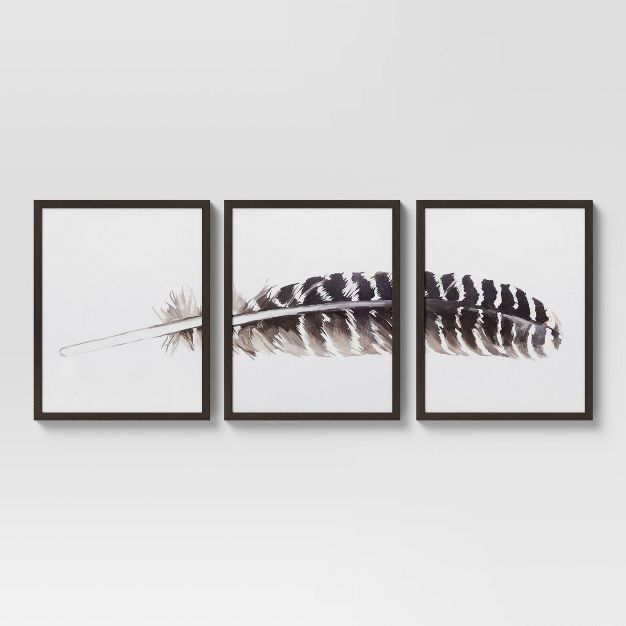 (Set of 3) 16" x 20" Feather Framed Wall Art - Threshold™ | Target