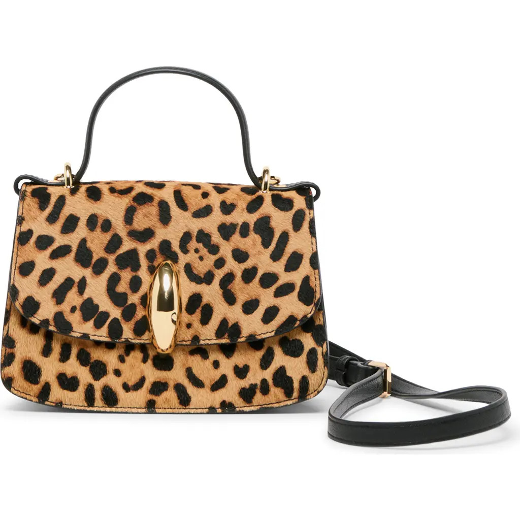 Dolce Vita Lucia Genuine Calf Hair Top Handle Bag in Leopard at Nordstrom | Nordstrom