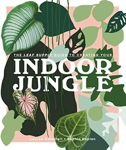 The Leaf Supply Guide to Creating Your Indoor Jungle | Amazon (US)