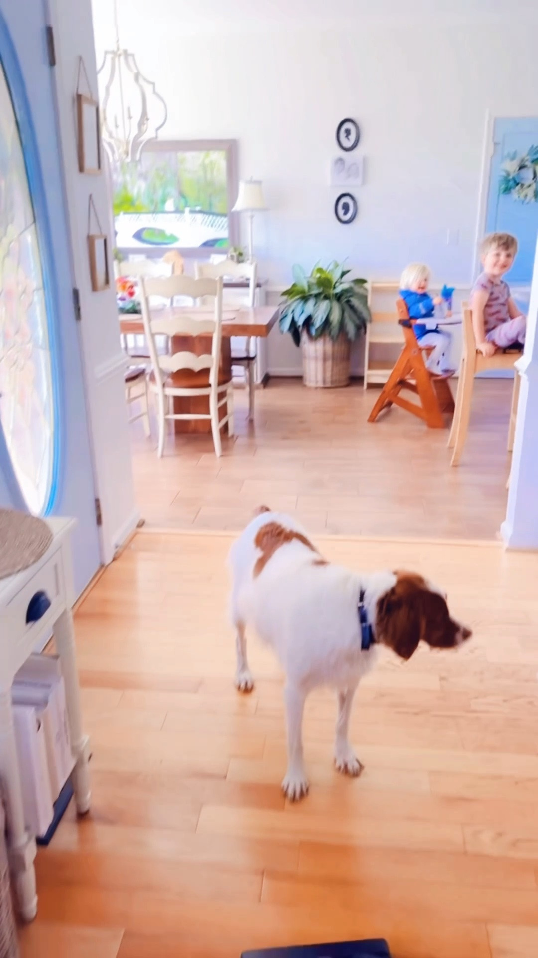 Mondays are a good “reset day” for us around here - and I love doing some cleaning 🧹 (& lots of laundry lol 🧺!!) while the boys are set with an  activity - like watercolor 🎨 coloring painting 🖼️ !! I got tons of responses last time I shared 🥰, so linking 🔗 my FAVORITE 🤩 cordless vacuum and wet/dry vacmop for y’all over on my LTKit app!! Highly recommend!! 👏🏽