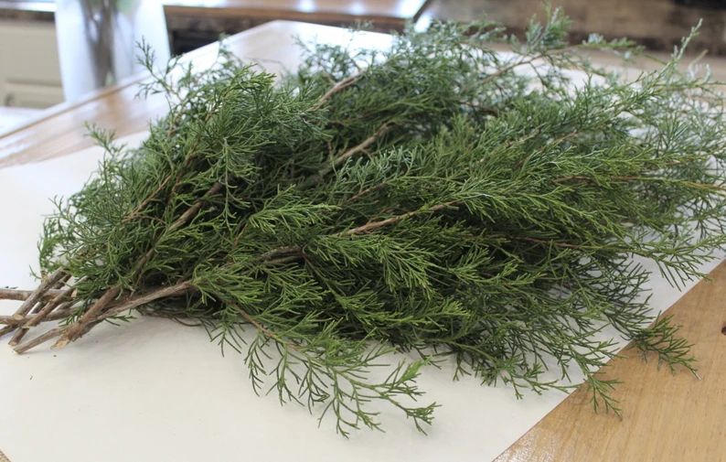 Cedar, Fresh Cut Cedar Branches, Christmas Decoration, Fresh Cedar Greenery, Wedding Decorations,... | Etsy (CAD)