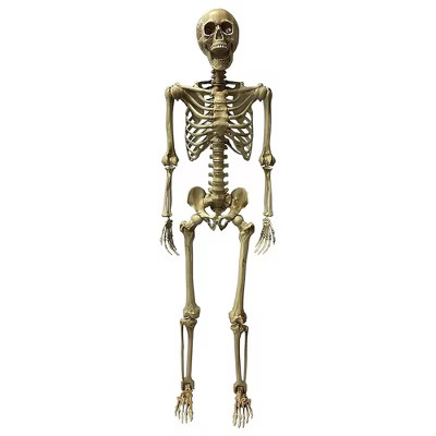 Studio Halloween, LLC Deluxe 5 Foot Poseable Skeleton Halloween Decoration | Target