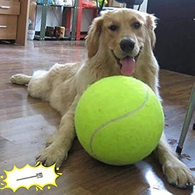 Banfeng Giant 9.5" Dog Tennis Ball Large Pet Toys Funny Outdoor Sports Dog Ball Gift with Inflati... | Amazon (US)