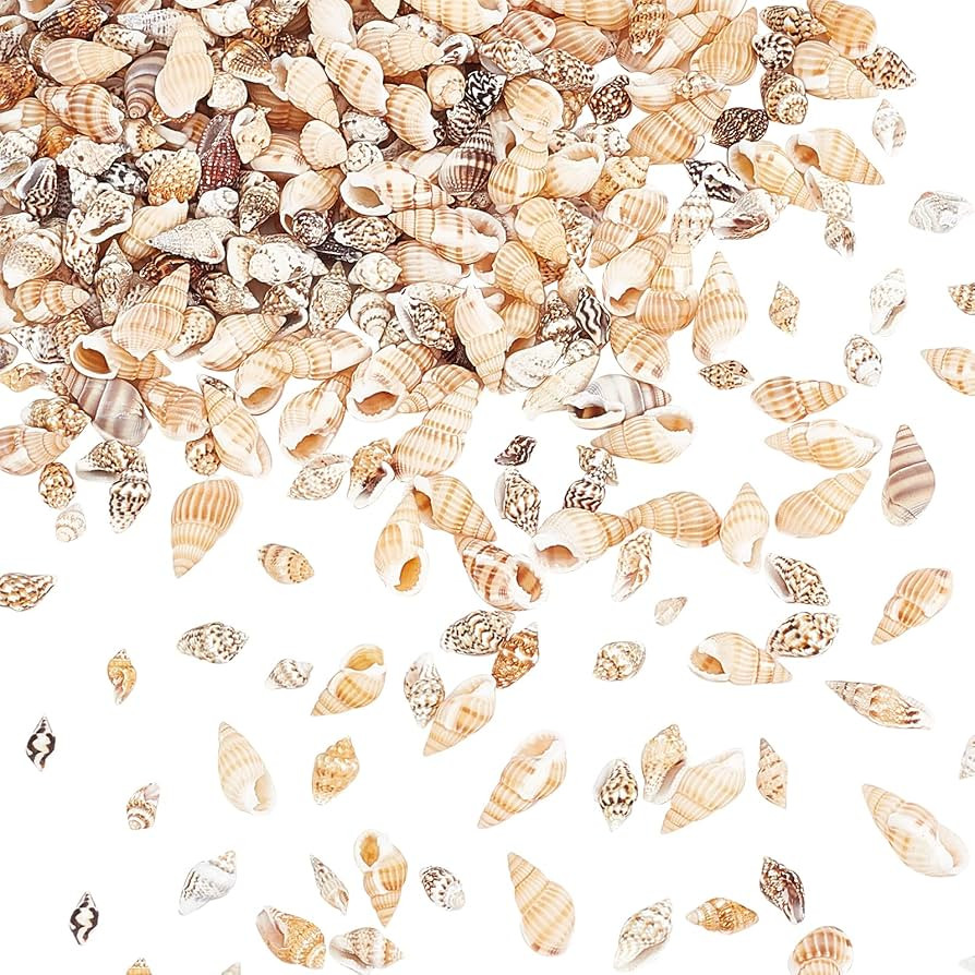PandaHall 140g Tiny Sea Shell Ocean Beach Spiral Seashells Craft Charms for Candle Making Home Be... | Amazon (US)