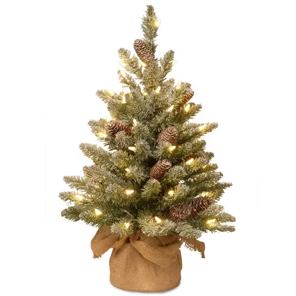 Snowy Concolor Fir 2' Green Fir Artificial Christmas Tree with 50 LED Clear & White Lights | Wayfair North America