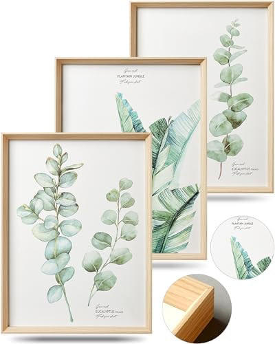 Framed Wall Art,Minimalist Botanical Canvas Wall Art for Living Room,12x16in Plant Wood High-Fram... | Amazon (US)