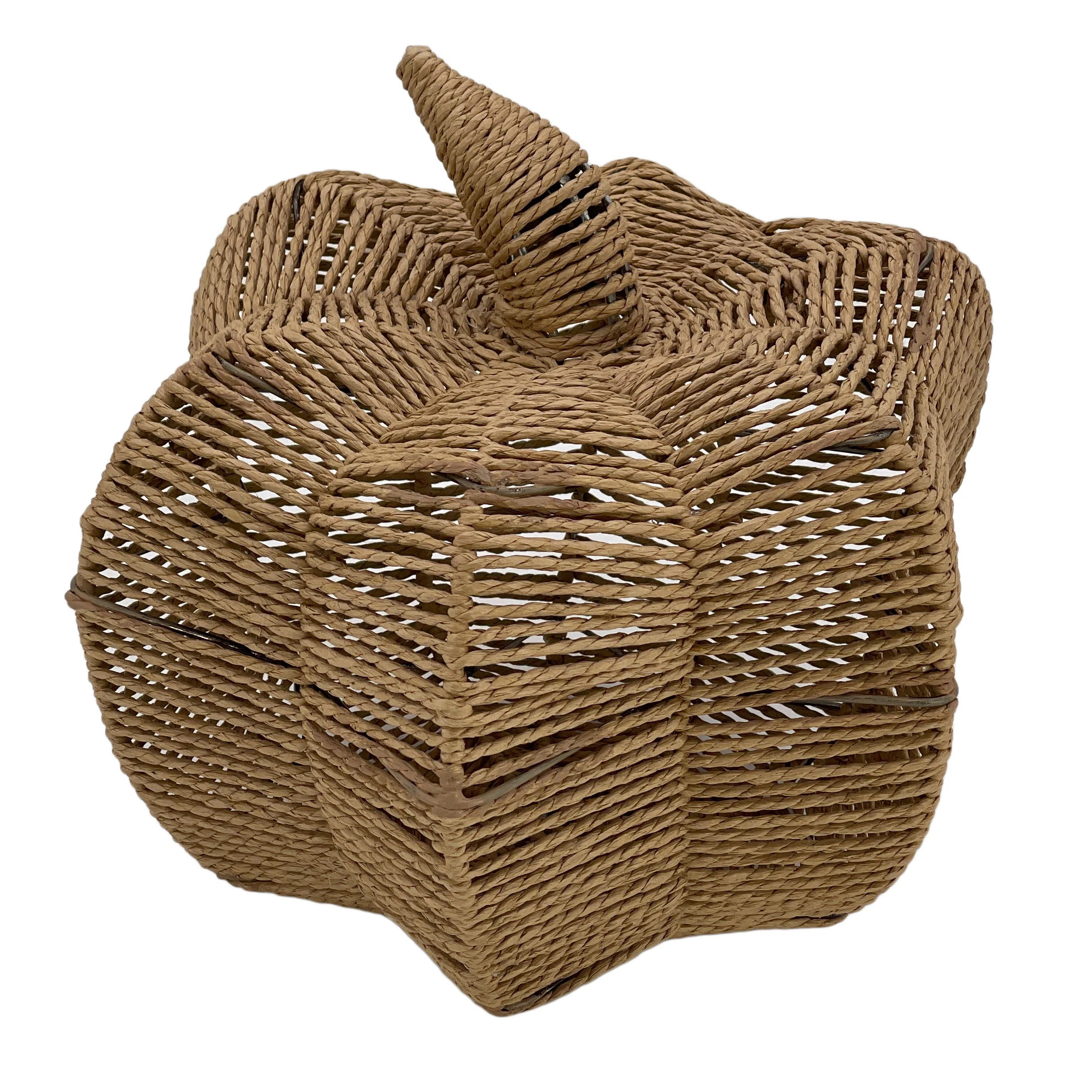 Woven Paper Rope Brown Pumpkin Home Decor 10.6" | Wayfair North America