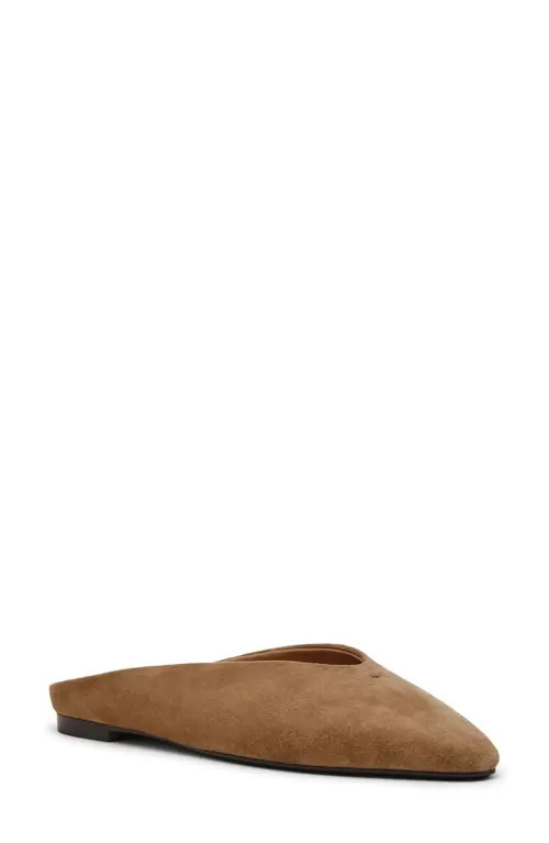 Steve Madden Sherman Mule in Tan Suede at Nordstrom, Size 9 | Nordstrom