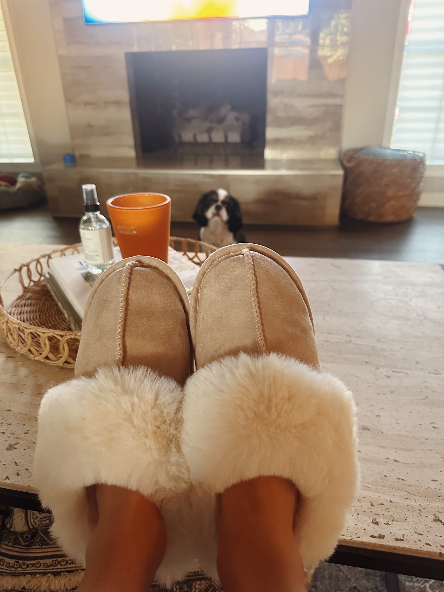 Best. Slippers. Ever.

#LTKHome #LTKSeasonal #LTKFindsUnder50
