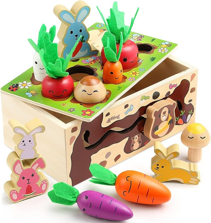 Wooden Montessori Toys - Carrot Harvest Game, Preschool Learning Activities, Shape Sorter, Fine M... | Amazon (US)
