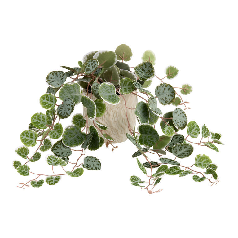 Faux String of Turtles Plant in Tan Ceramic Wavy Pot | World Market