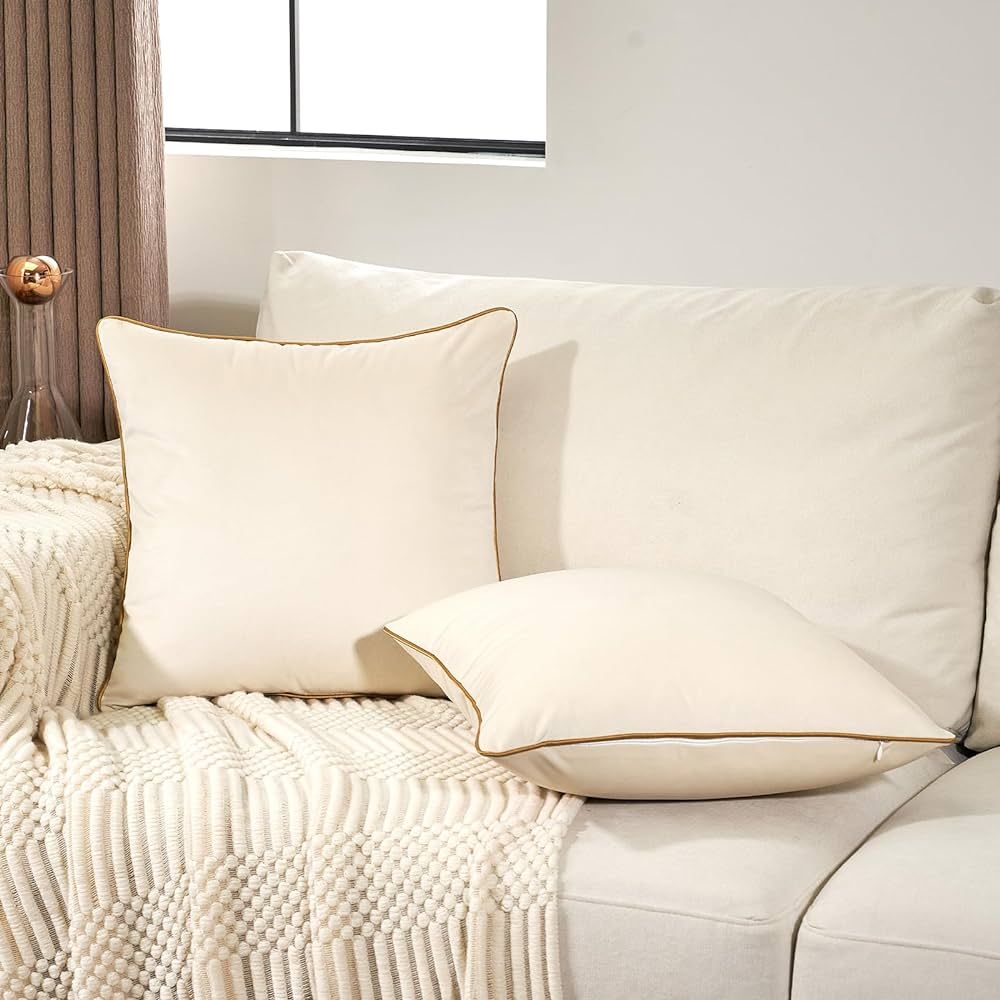 Aeckself Pack of 2 Cream White Velvet Pillow Covers 20 x 20 Inch, Modern Luxury Decorative Pillow... | Amazon (US)