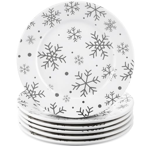 Honeydak 6 Pcs 6 Inch Christmas Snowflake Plates Ceramic Porcelain Plate Silver White Snowflake Winter Dinner Appetizer Salad Dessert Dishes for Christmas Birthday Winter Party Decoration Supplies | Amazon (US)