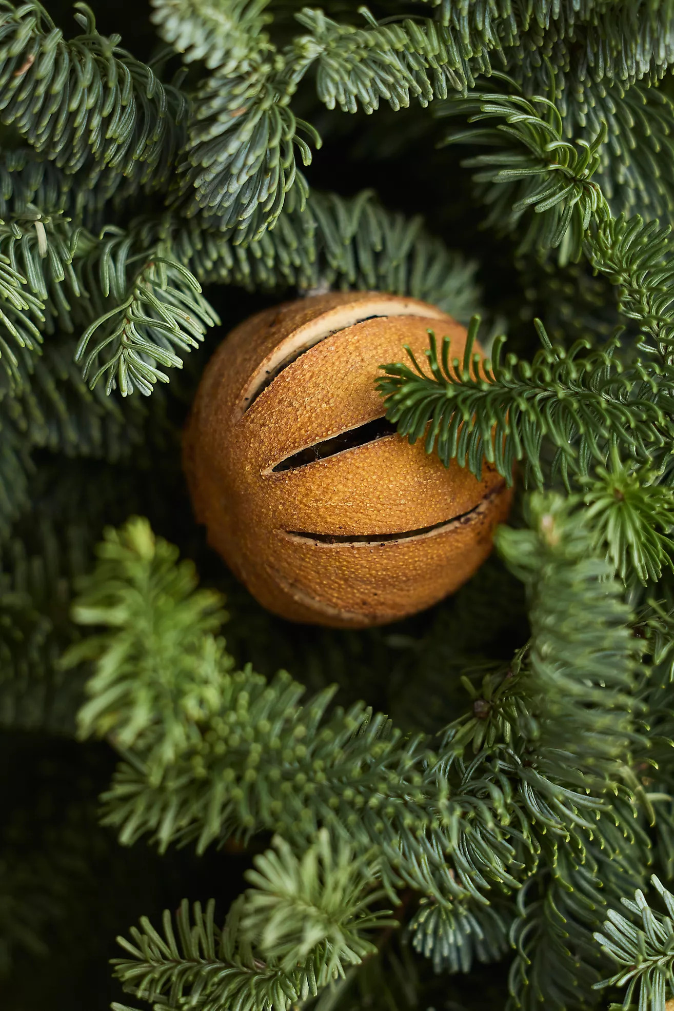 Fresh Evergreen + Dried Citrus Wreath | Anthropologie (US)