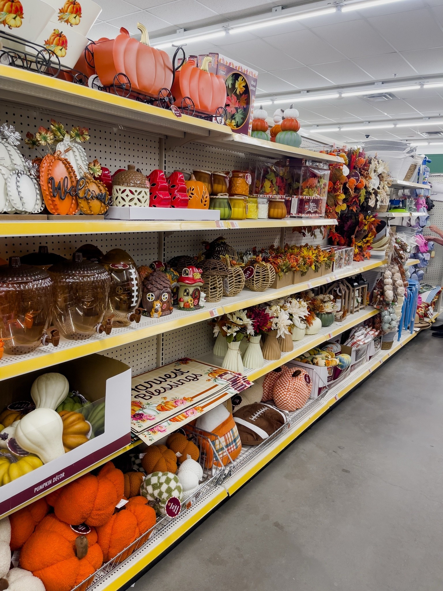 Fall at Dollar tree #fall2026 #falldecor2026