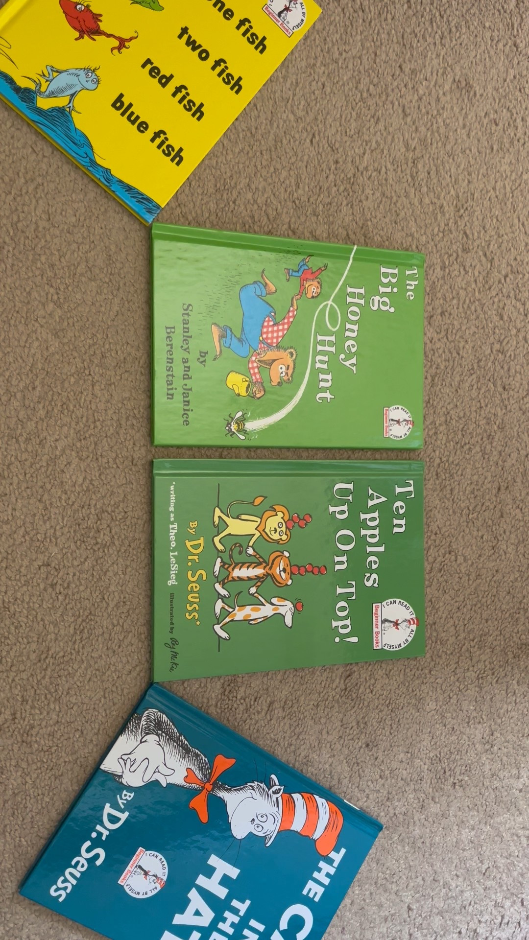 Dr.Seuss books collection!

#LTKKids #LTKxMadewell