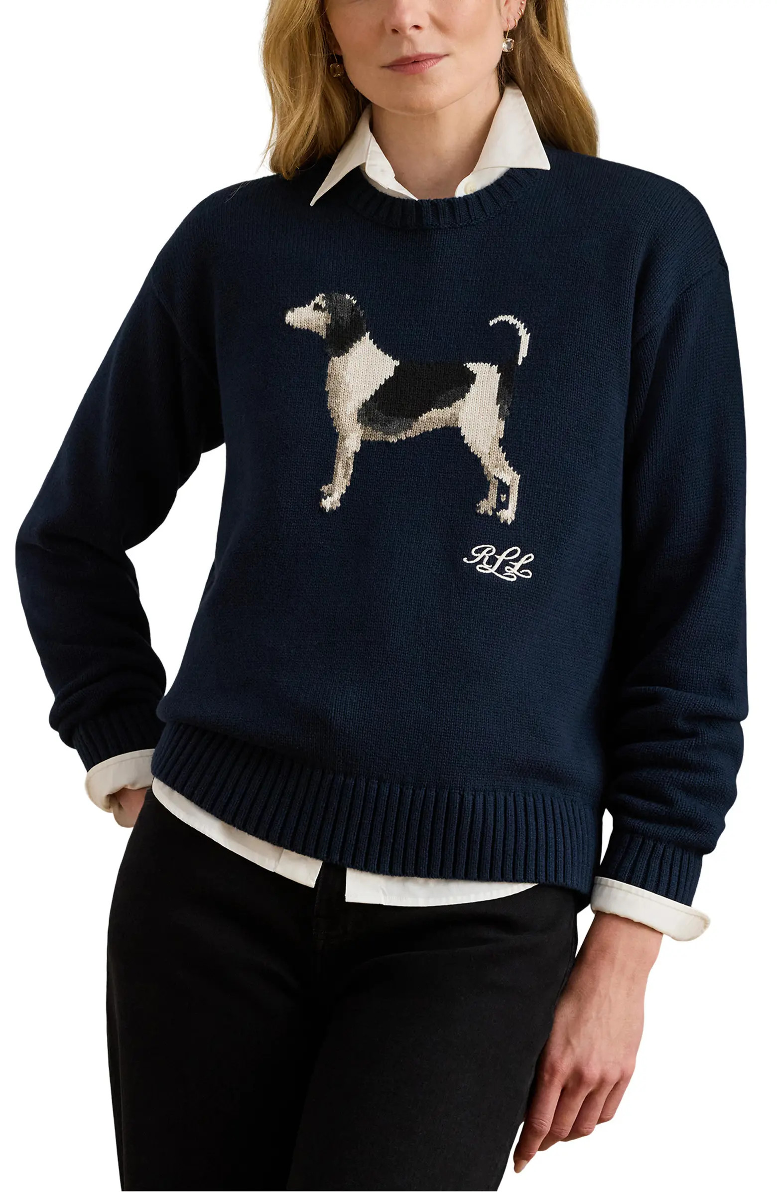 Intarsia Beagle Cotton Sweater | Nordstrom