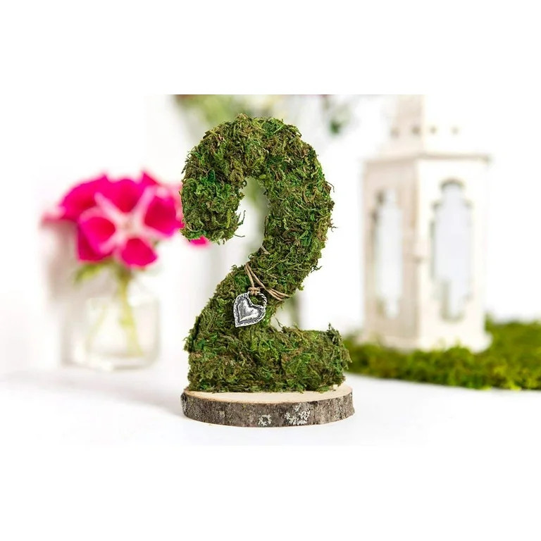 Instant Green Sticky Moss Mat 18"X16"- - Walmart.com | Walmart (US)