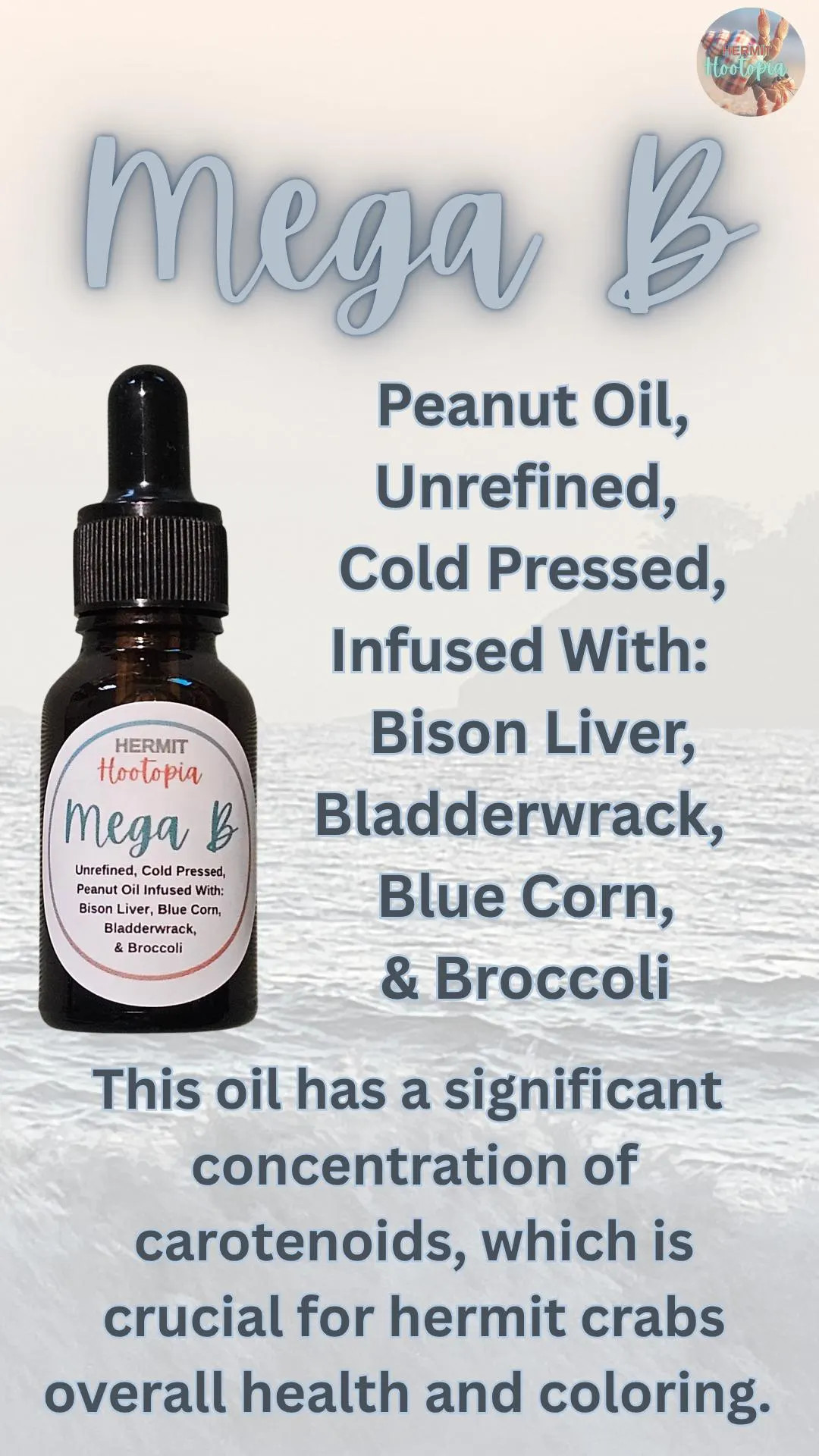 Mega B - Etsy | Etsy (US)