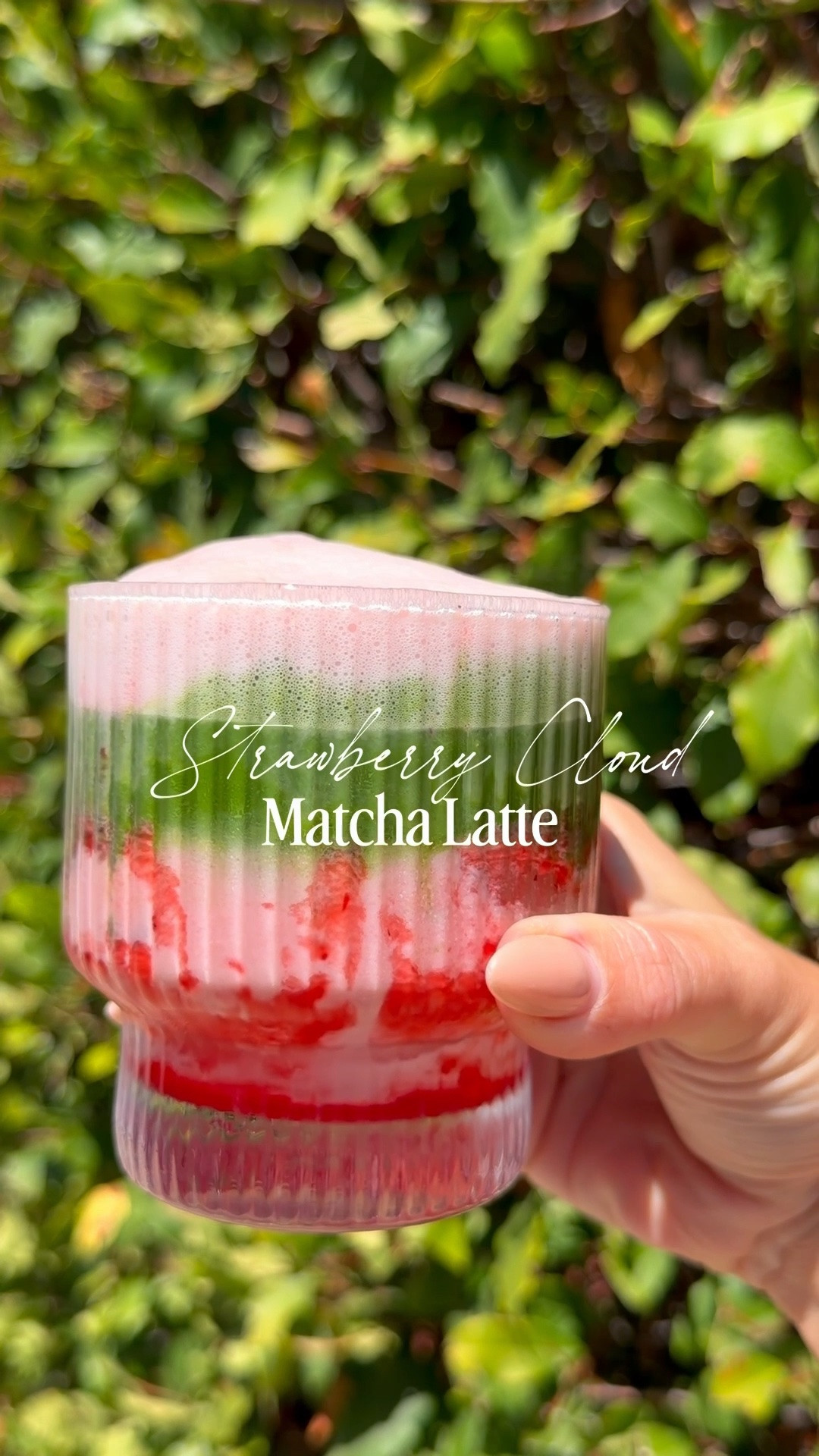My favorite Matcha Latte to make at home! The full recipe is on my Instagram.

#LTKdayinmylife #LTKmorningroutine #LTKfoodie