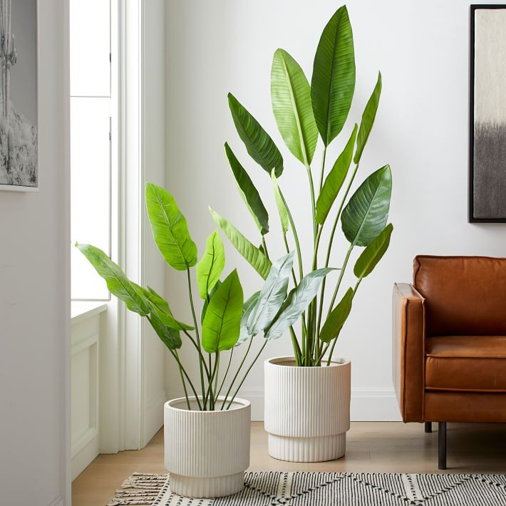 Faux Potted Bird of Paradise Plant | West Elm (US)