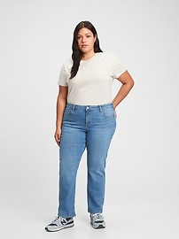 Mid Rise Classic Straight Jeans | Gap Factory
