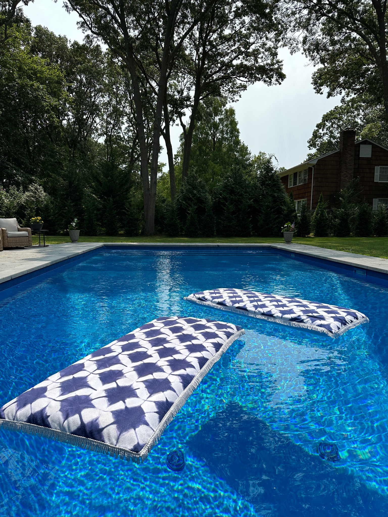 Above ground outlet pool dog platform