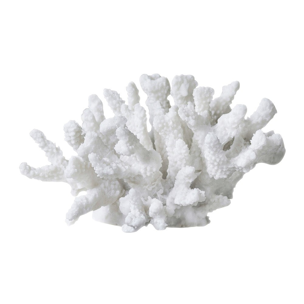 Coral Branches - White | Amara (UK)