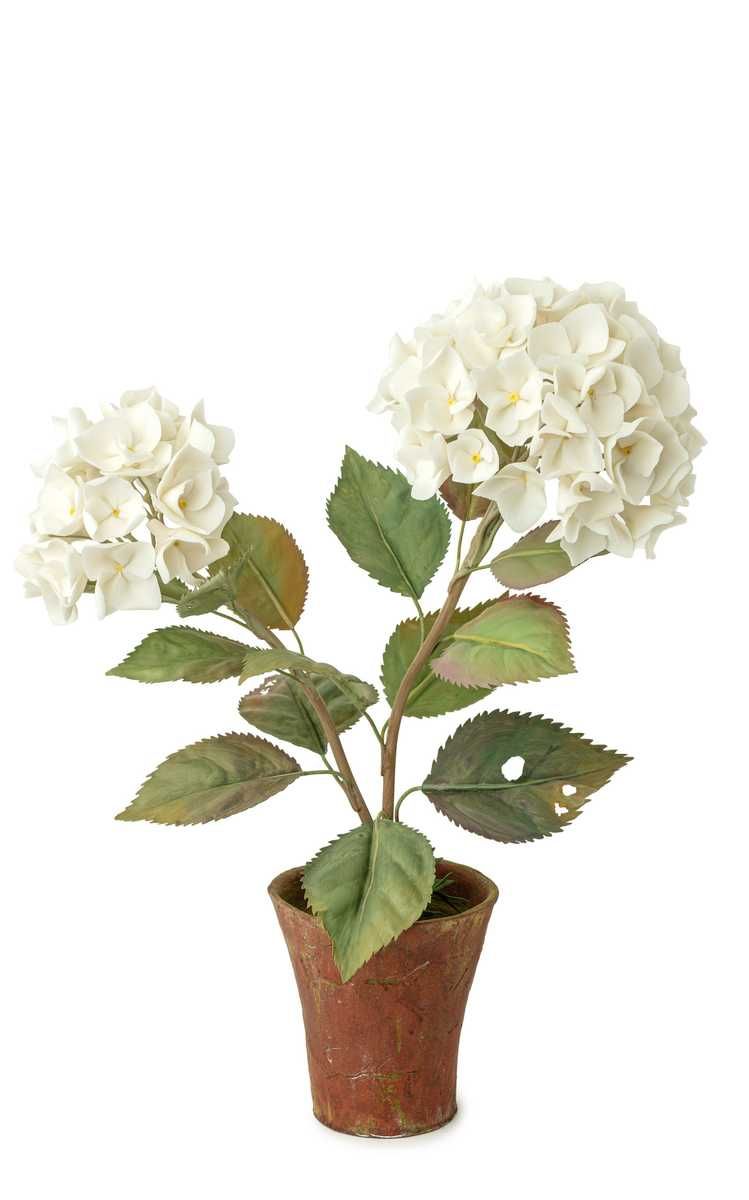 Dual Hydrangea Porcelain Sculpture | Moda Operandi (Global)