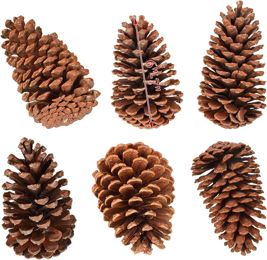 Huwena 6 Pcs PineCones Large Natural Unscented Pine Cones Bulk Rustic Christmas Tree Ornaments De... | Amazon (US)