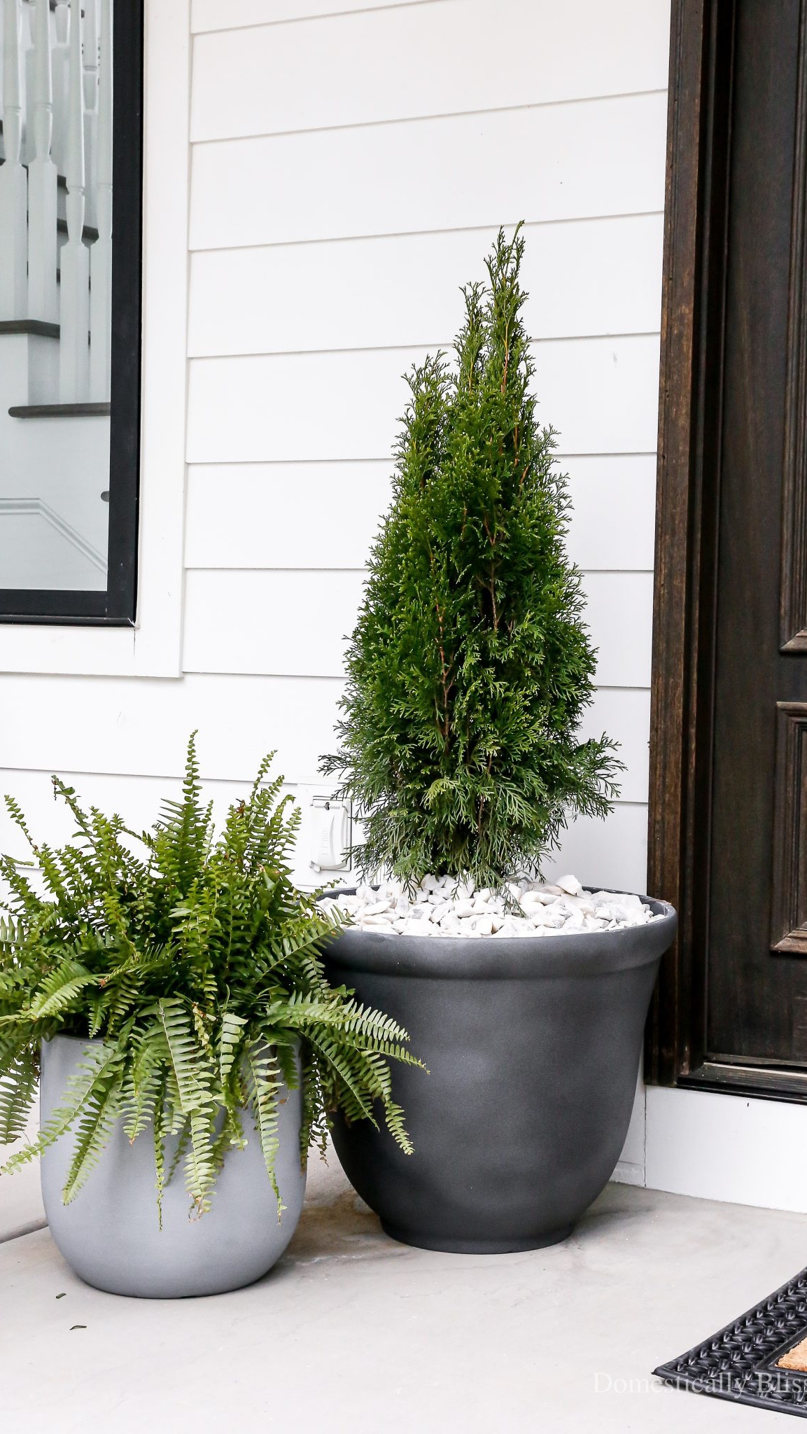 How to fill an outdoor planter so you can easily swap out the plant every season.

See details:
https://domesticallyblissful.com/how-to-fill-an-outdoor-planter/

🔗 Join our newsletter:
https://domesticallyblissful.com/newsletter/ 

#LTKSeasonal #LTKStyleTip #LTKHome