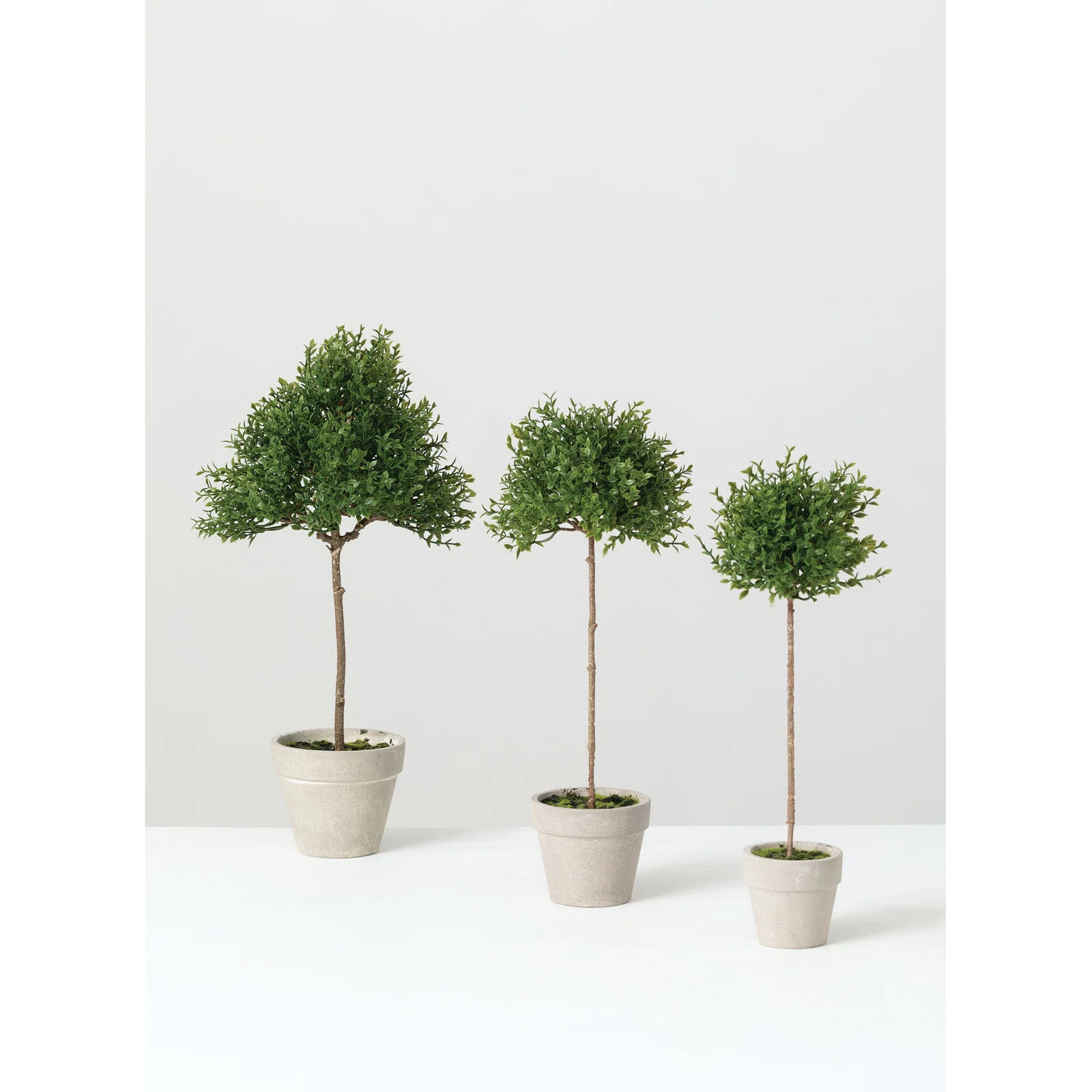 Steelside™ 3 Piece Tea Leaf Topiary in Pot Set & Reviews | Wayfair | Wayfair North America