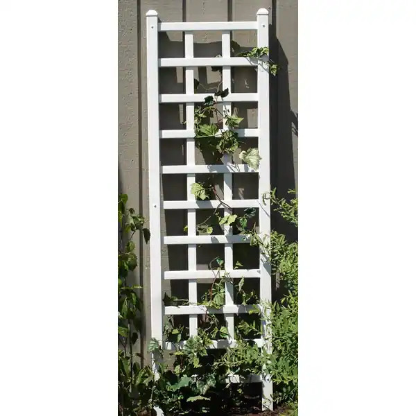 DuraTrel Providence 22" x 75" White Vinyl Wall Trellis | Bed Bath & Beyond