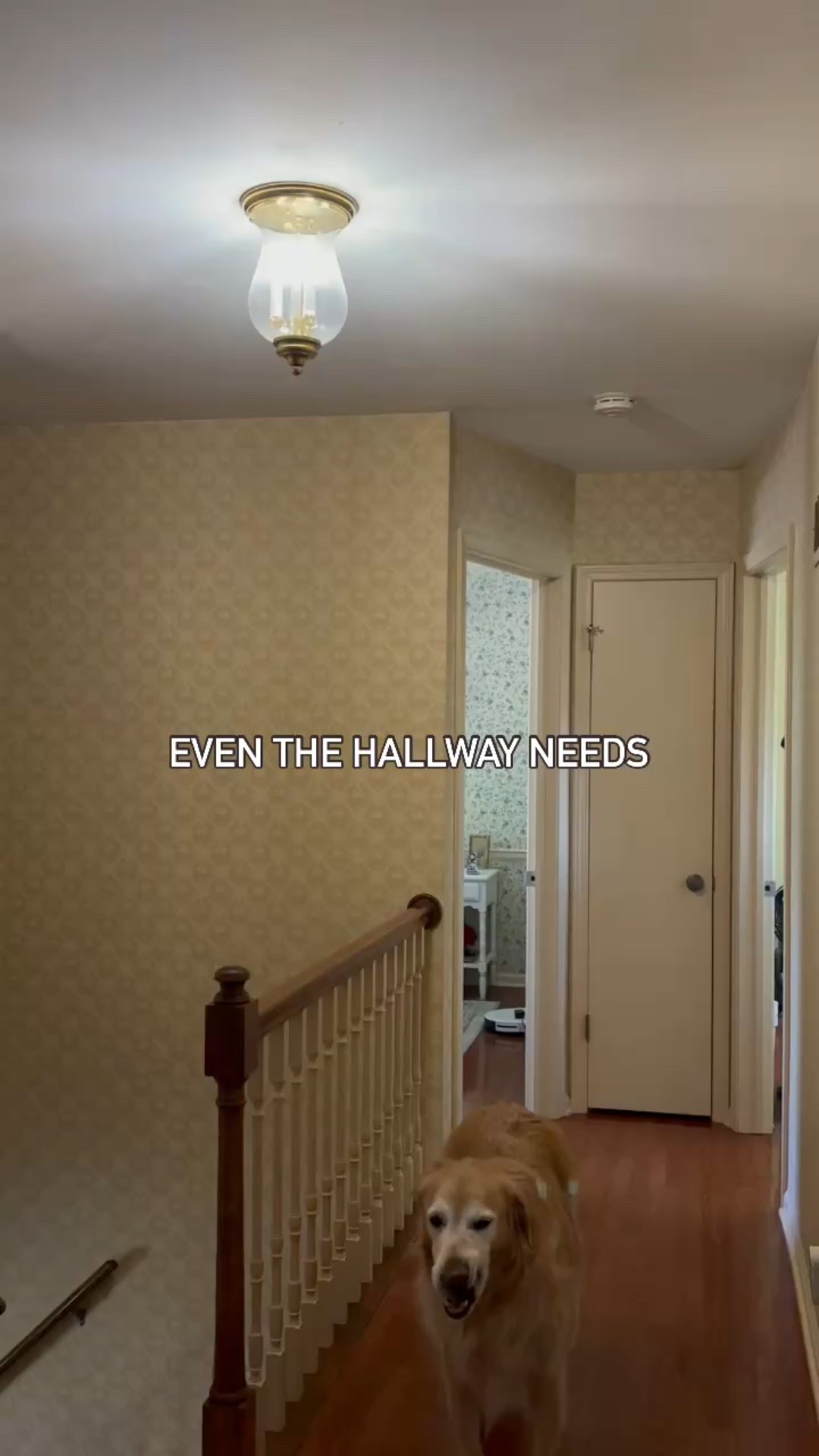 My new hallway room light 

#LTKParties #LTKFamily #LTKHome