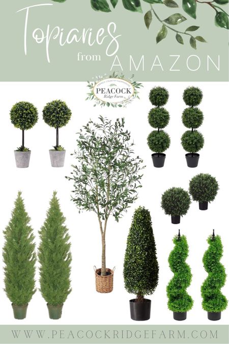 Looking for the perfect topiary trees to add elegance to your home? Look no further - we’ve got you covered! Bring your home alive with a little bit of greenery. Here’s how you can choose the best topiaries for your home that will add a beautiful touch of life and color.

#LTKhome #LTKFind #LTKunder50