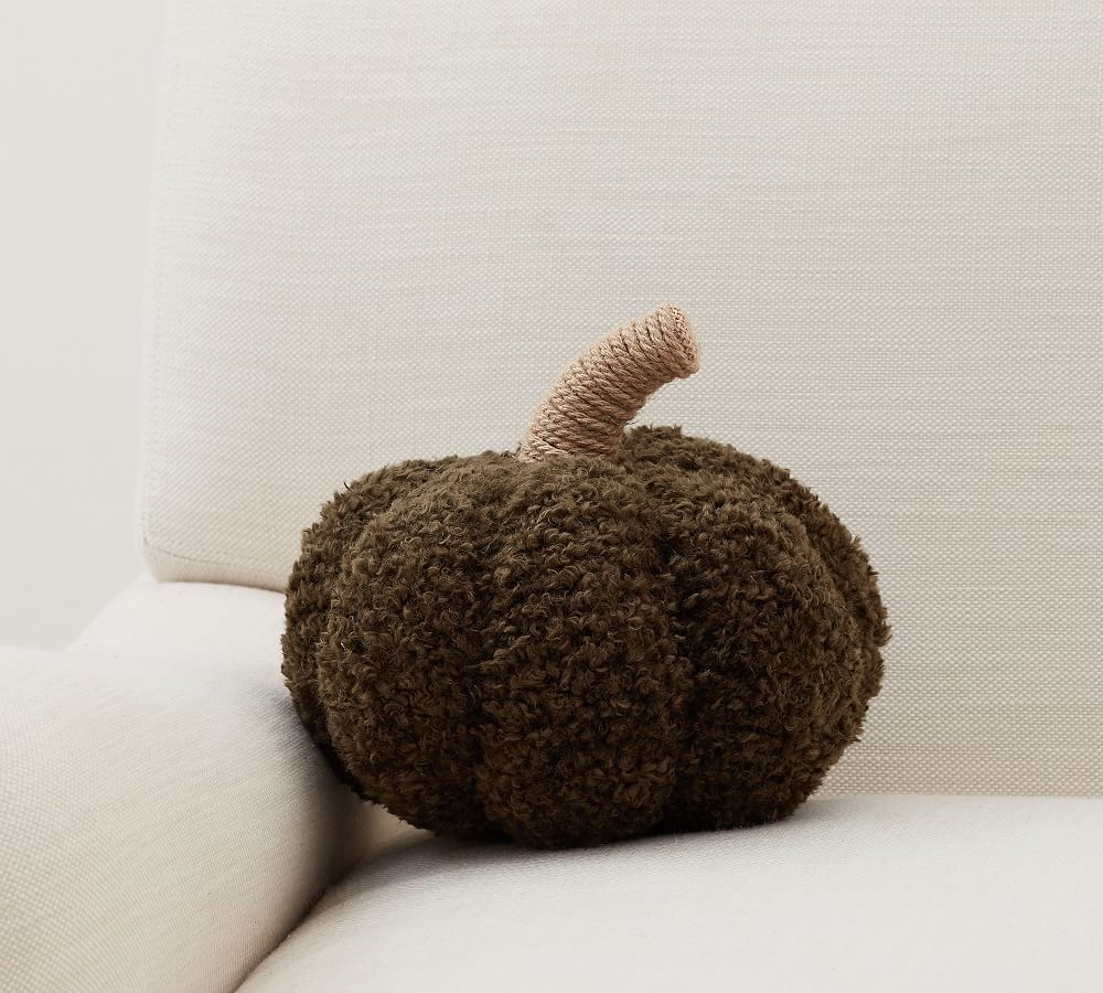 Cozy Pumpkin Pillow | Pottery Barn (US)