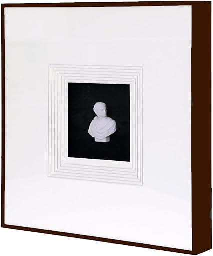 Sculpture Wall Art,French Vintage Decor with Framed,Aesthetic Black Paintings for Home Living Roo... | Amazon (US)