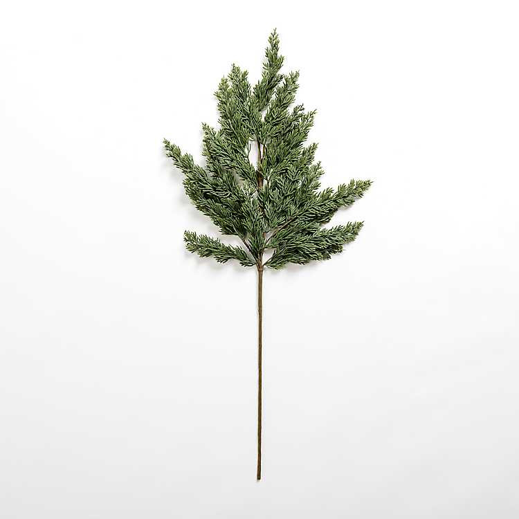 New! Natural Green Pine Stem | Kirkland's Home