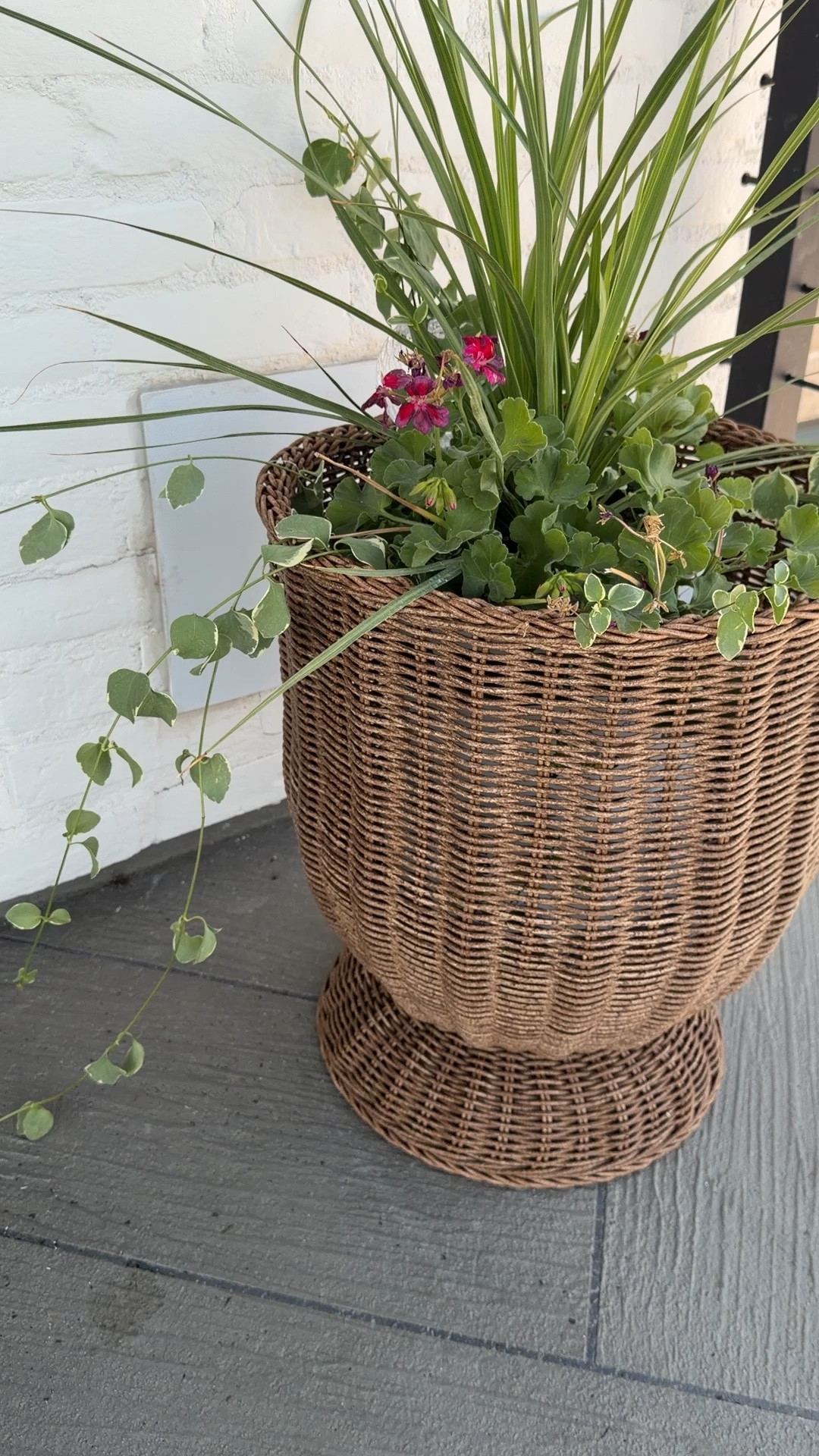 On Sale! The perfect addition to our deck! And this planter is HUGE!  It comes with a plastic liner on the bottom to hold in soil. I just have this pot sitting on an empty upside down pot.