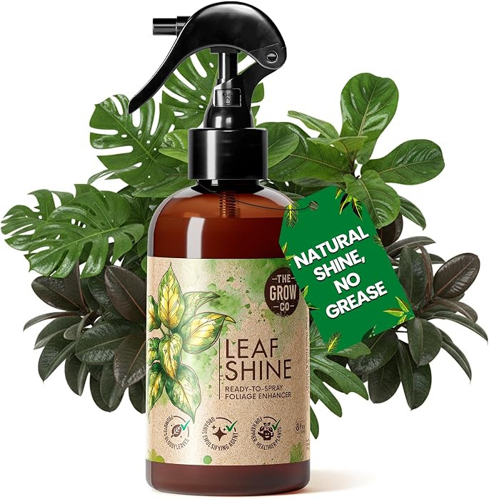 Leaf Shine Spray for Indoor Plants & Outdoor Plants - Plant Leaf Cleaner and Shine, Plant Shine S... | Amazon (US)