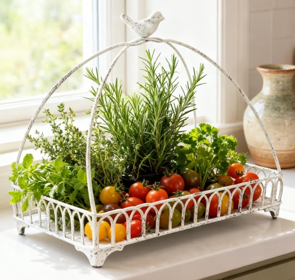 Farmhouse trays and baskets all in one cozy little home refresh. 🌾 Perfect for bathroom counters, kitchen styling, coffee bars, vanities, entry tables, shelves, or living room decor when you want storage that still feels warm and decorative. The rustic white finish and bird handle detail give these trays that collected countryside look that works beautifully with vintage farmhouse decor. 

Add if your home needs pretty little accent pieces that make everyday organization feel more charming. 🪺

#LTKfoodie #LTKHome #LTKOver40