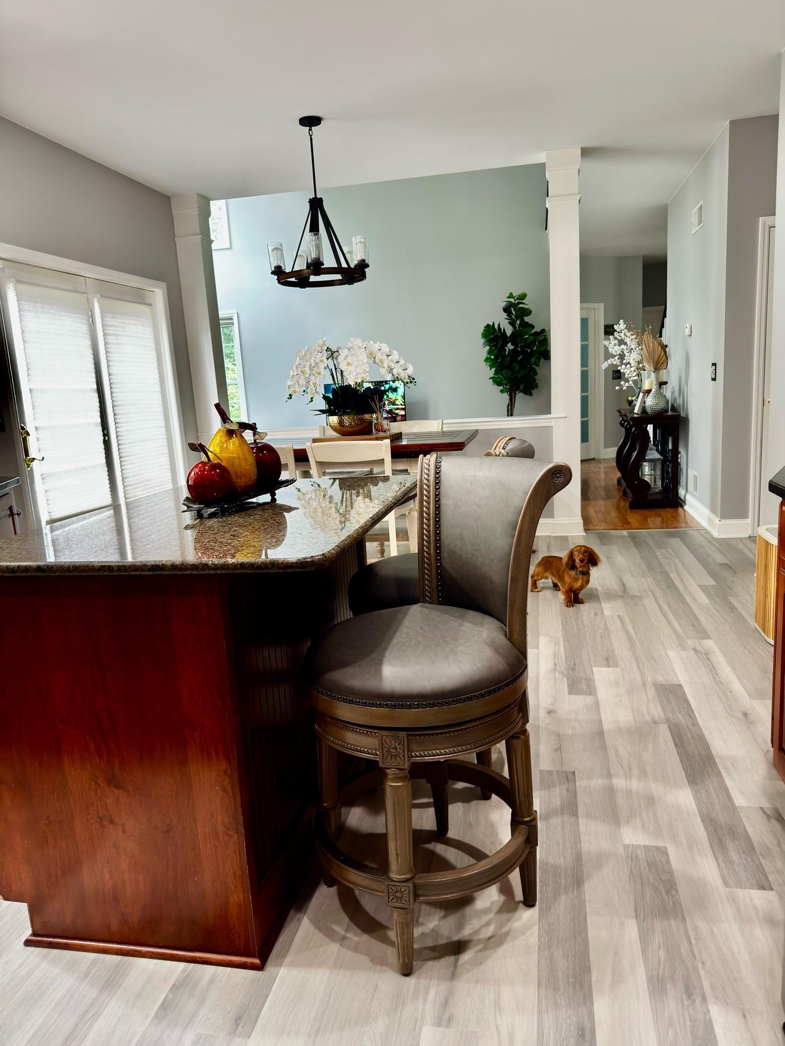 #kitchendecor
#kitchenrefresh
kitchen stools
kitchen essentials
kitchen decor

#LTKSaleAlert #LTKHome #LTKvlog