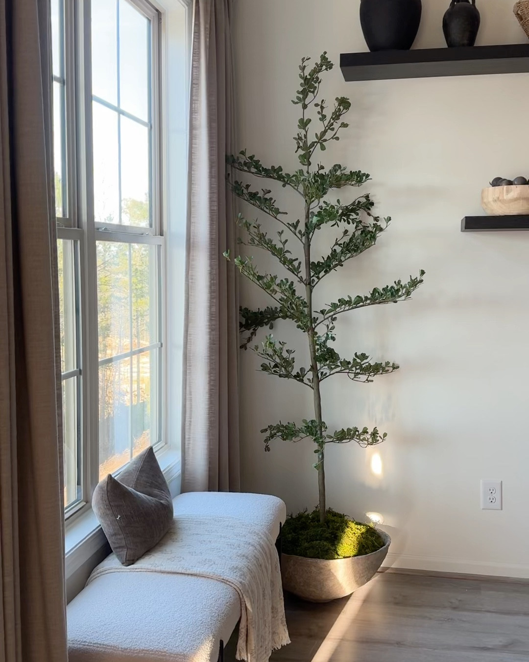 The prettiest faux olive tree! This is the 7 ft and couldn’t look more perfect for this space!

#LTKHome #LTKSeasonal #LTKSaleAlert
