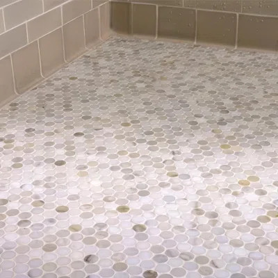 Serena 11 X 12 In. Polished White Gray Marble Mosaic Penny Round Wall And Floor Tile (4.47 Sq Ft/Case) - 5 Pack | Wayfair North America