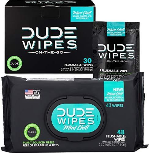 DUDE WIPES Flushable Wipes, Quit Toilet Paper Starter Kit, Mint Chill Wet Wipes with Mint, Eucalyptu | Amazon (US)