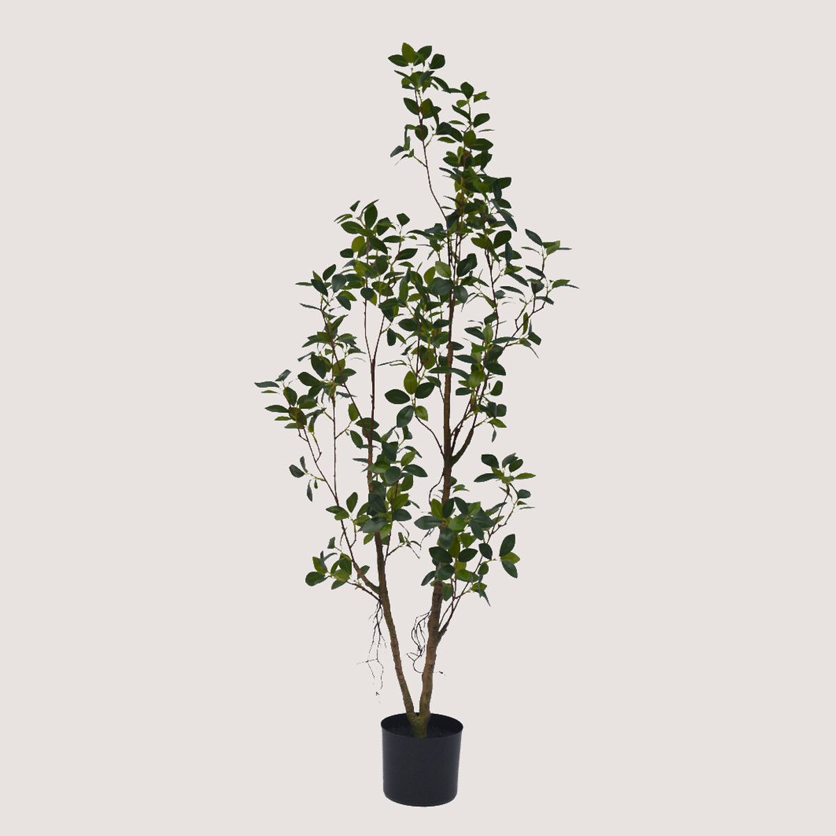 130cm Artificial Slim Ficus Tree | La Redoute (UK)