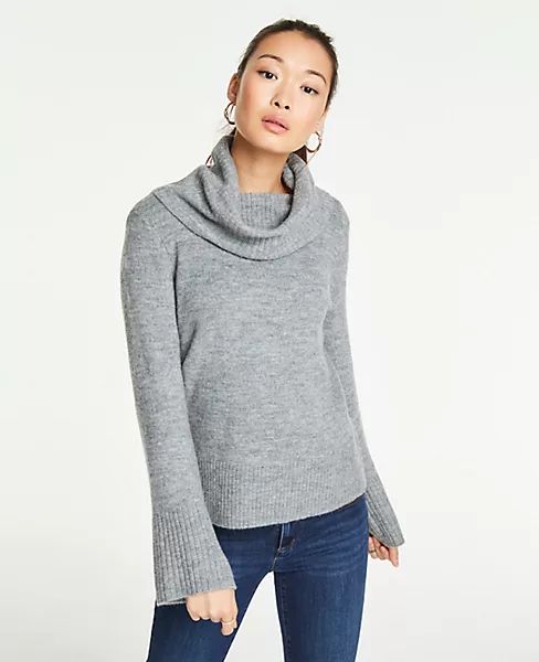 Cozy Ribbed Turtleneck Sweater | Ann Taylor (US)