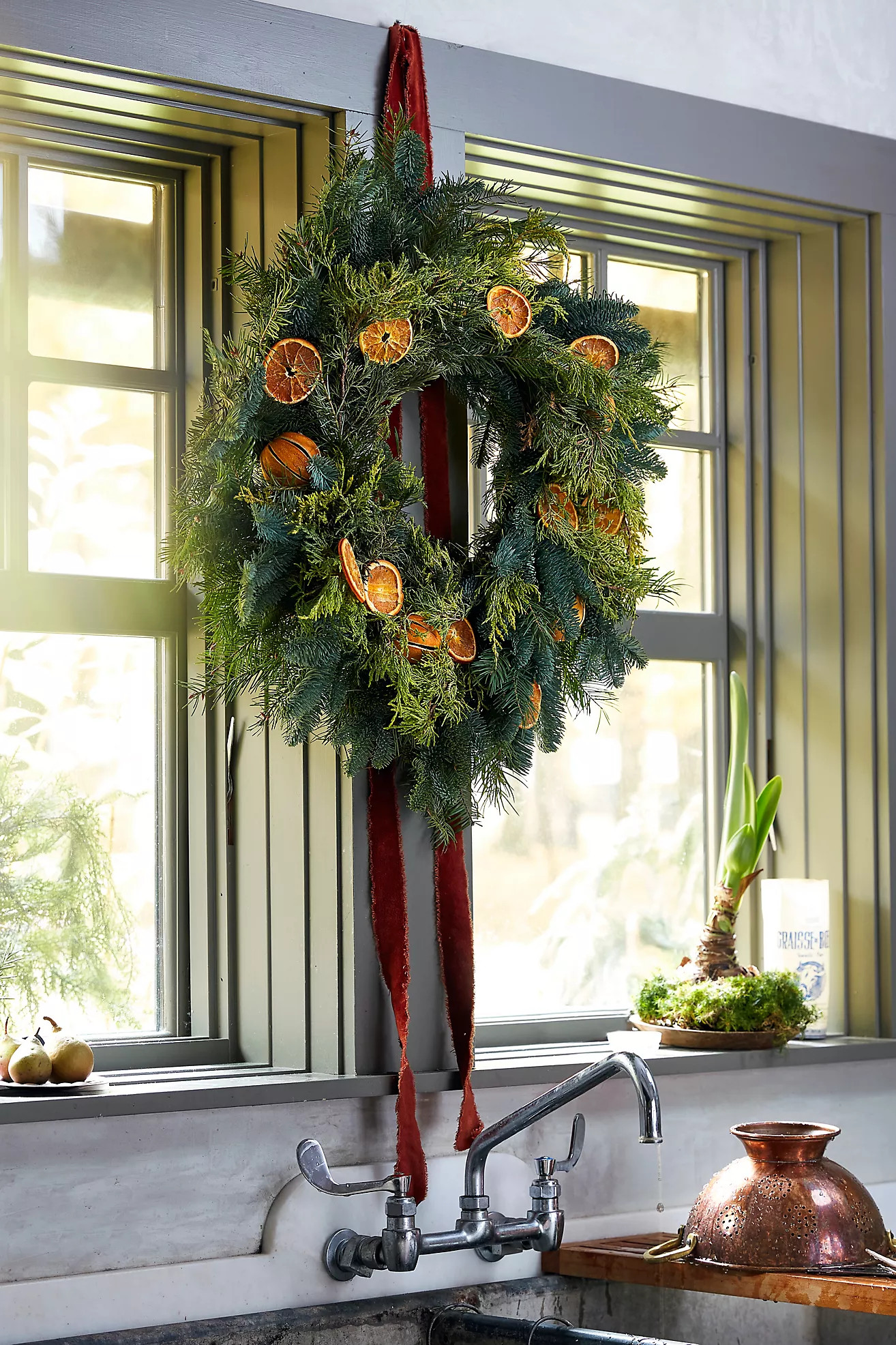 Fresh Evergreen + Dried Citrus Wreath | Terrain