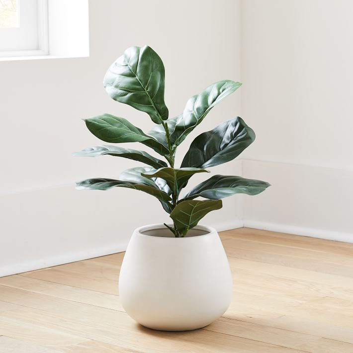 Faux Potted Fig Leaf - 2' | West Elm (US)