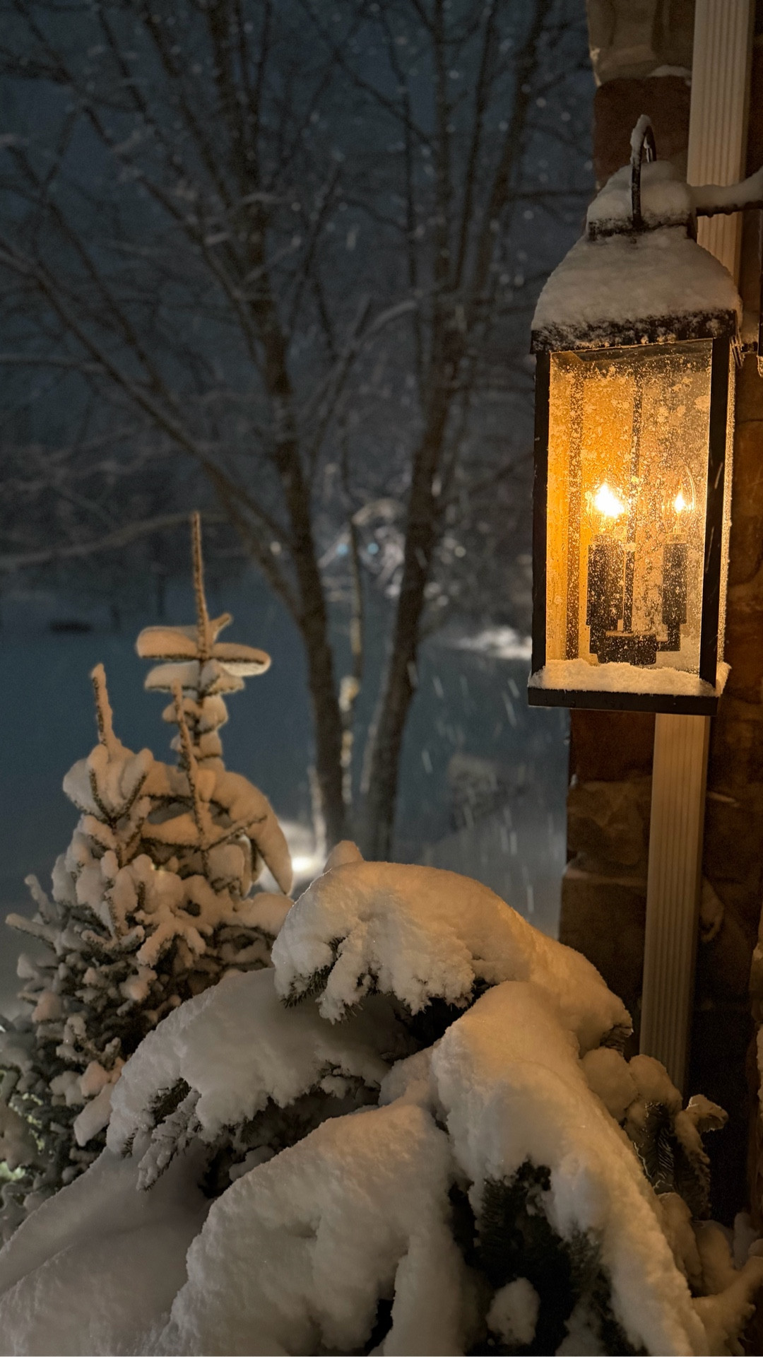 Create old world estate vibes with these gorgeous lanterns and flame effect light bulbs. 

#LTKHome